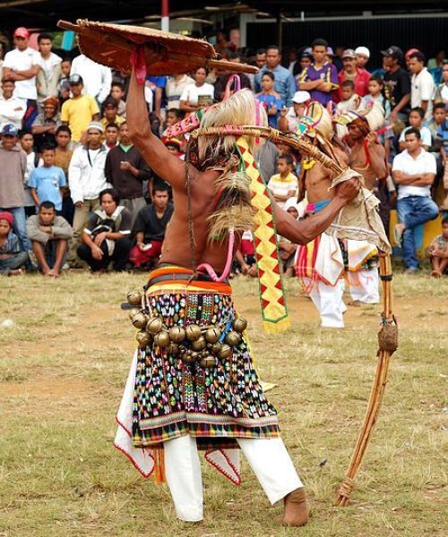 layanan komodo hopping island