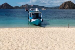 Galeri Komodo Hopping Galeri Komodo Hopping