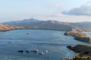 Galeri Komodo Hopping (2) Galeri Komodo Hopping (2)