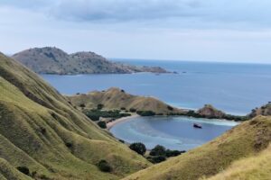 Galeri Komodo Hopping (4) Galeri Komodo Hopping (4)