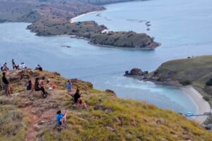 Galeri Komodo Hopping (5) Galeri Komodo Hopping (5)