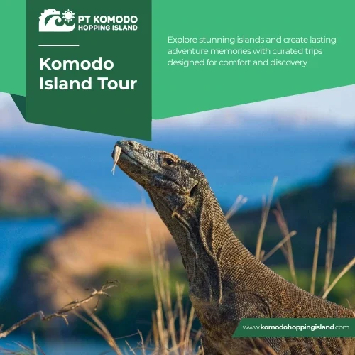 komodo island tour