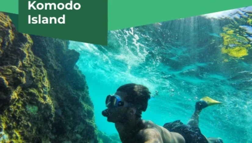snorkeling komodo island