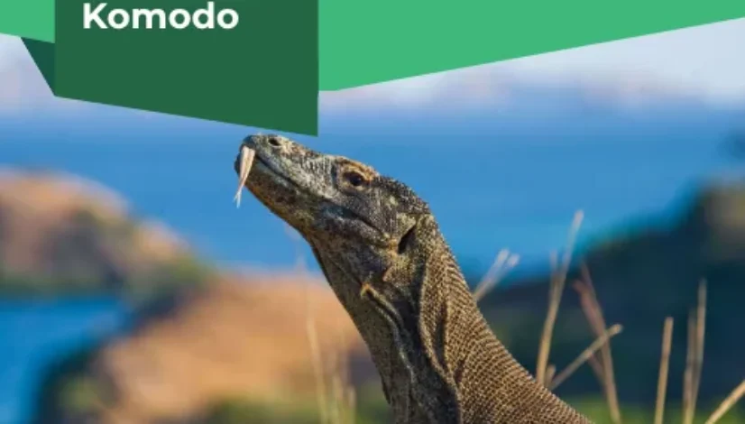 Cruise to Komodo