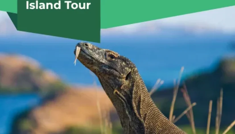Komodo Island Tour