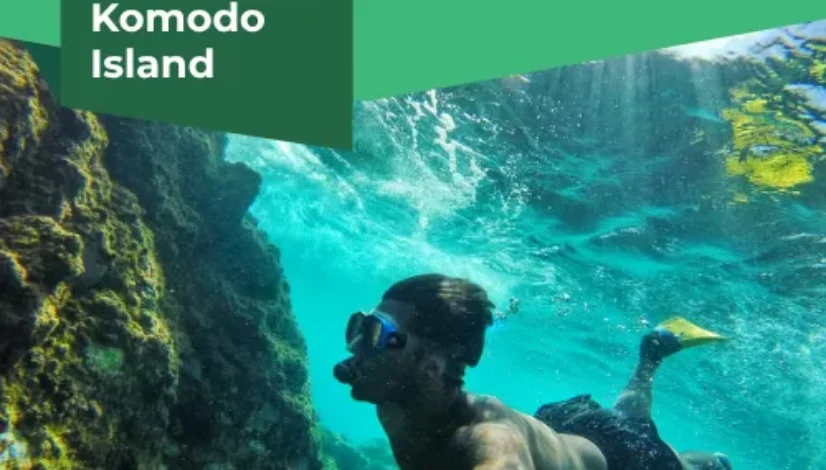 Snorkeling Komodo Island