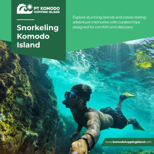 Snorkeling Komodo Island