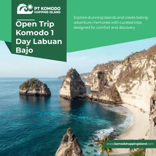 Open Trip Komodo 1 Day Labuan Bajo