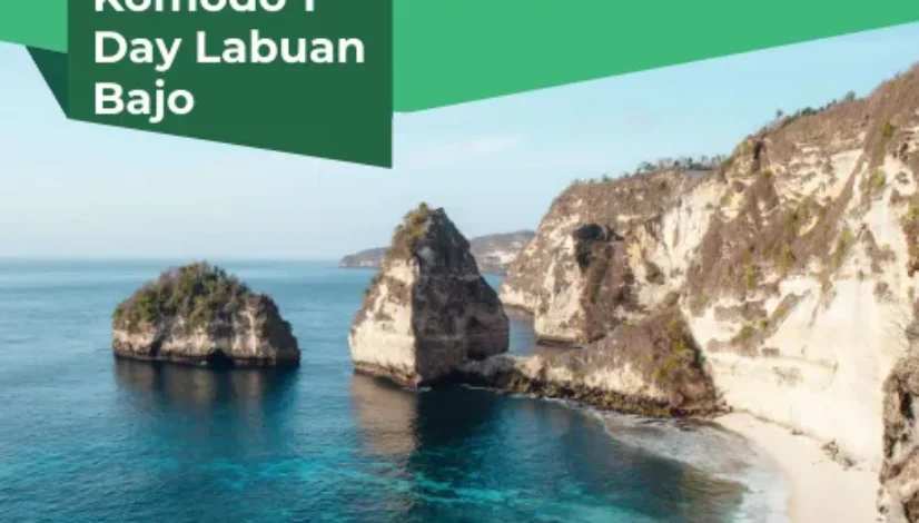 Open Trip Komodo 1 Day Labuan Bajo