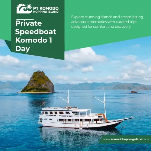 Private Speedboat Komodo 1 Day