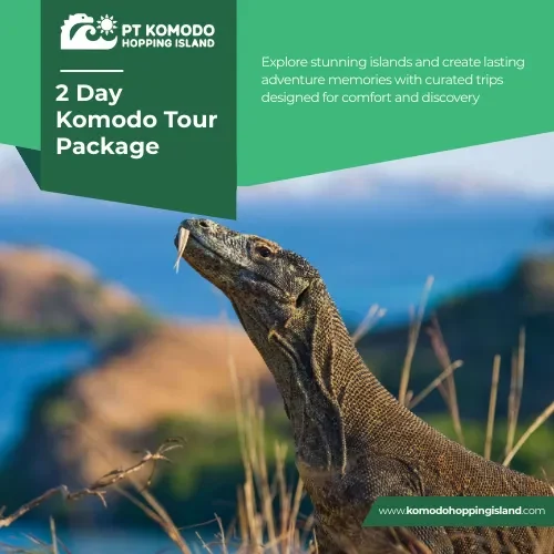 2 Day Komodo Tour Package
