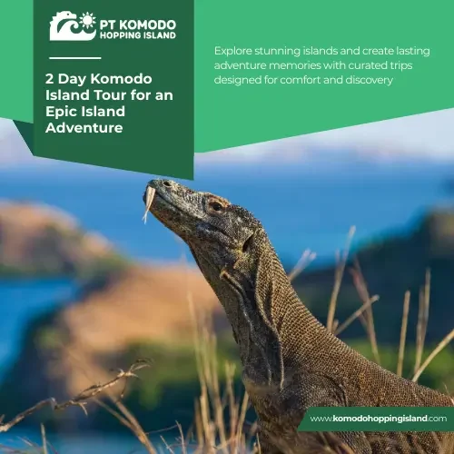 2 day komodo island tour