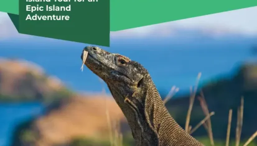 2 day komodo island tour
