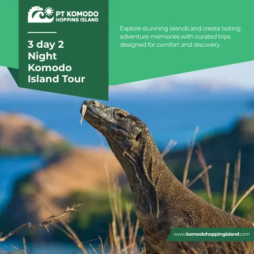 3 day 2 Night Komodo Island Tour​
