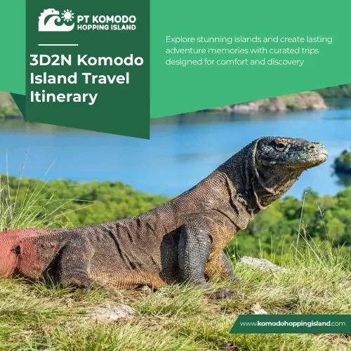 3D2N Komodo Island Travel Itinerary