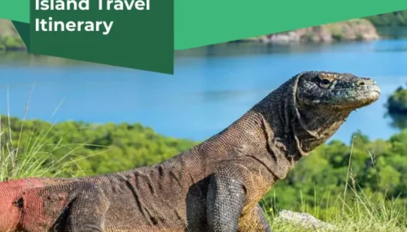 3D2N Komodo Island Travel Itinerary