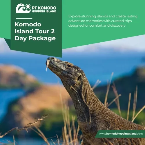 Komodo Island Tour 2 Day Package