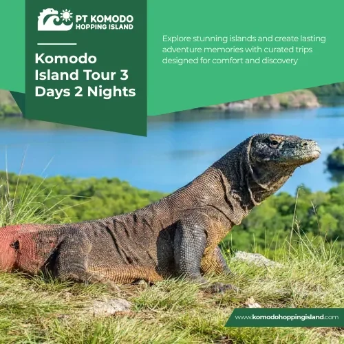 Komodo Island Tour 3 Days 2 Nights
