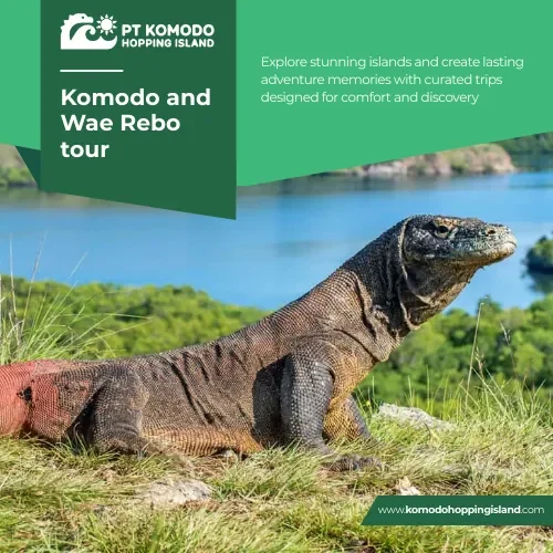 Komodo and Wae Rebo tour