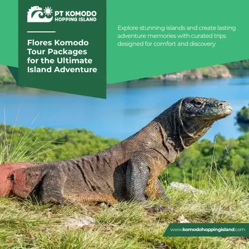 flores komodo tour packages