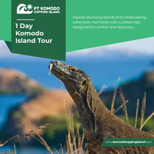 1 Day Komodo Island Tour​