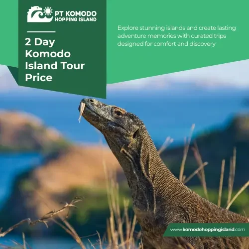 2 Day Komodo Island Tour Price