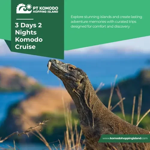 3 Days 2 Nights Komodo Cruise