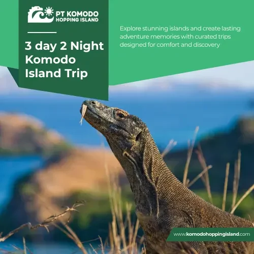 3 day 2 Night Komodo Island Trip​