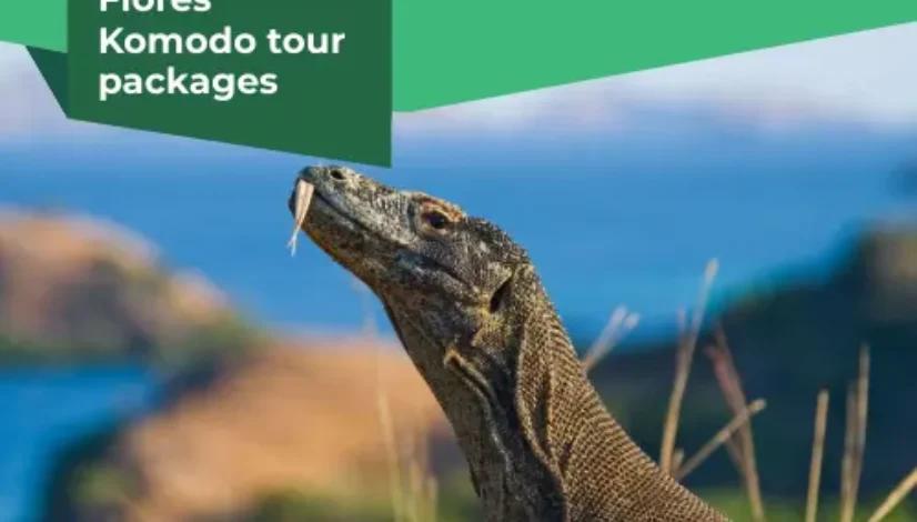 Affordable Flores Komodo tour packages