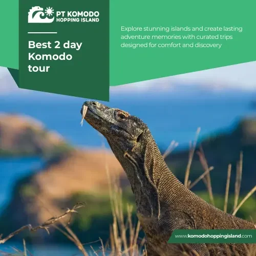 Best 2 day Komodo tour