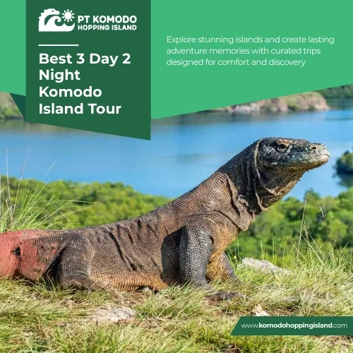 Best 3 Day 2 Night Komodo Island Tour