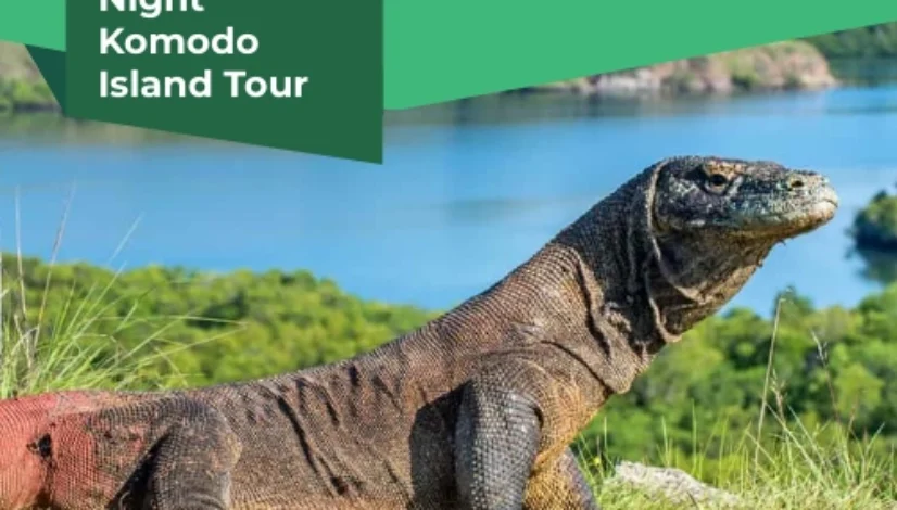 Best 3 Day 2 Night Komodo Island Tour