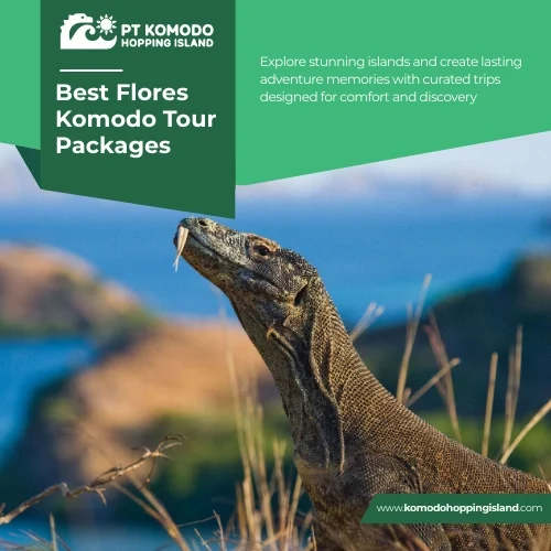 Best Flores Komodo Tour Packages