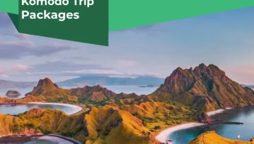 Flores Komodo Trip Packages​