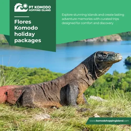 Flores Komodo holiday packages