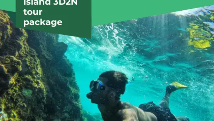 Komodo Island 3D2N tour package
