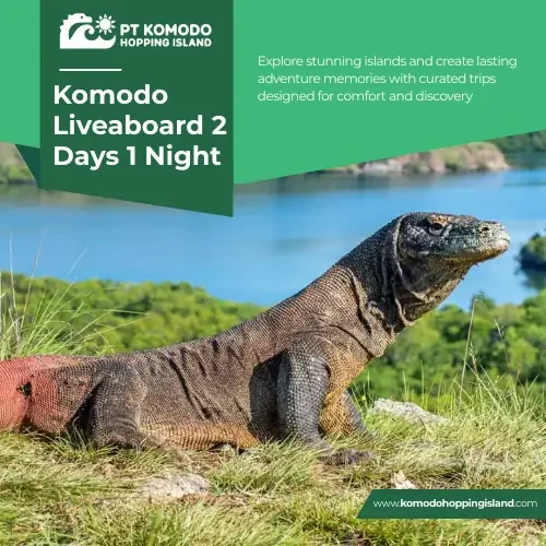 Komodo Liveaboard 2 Days 1 Night
