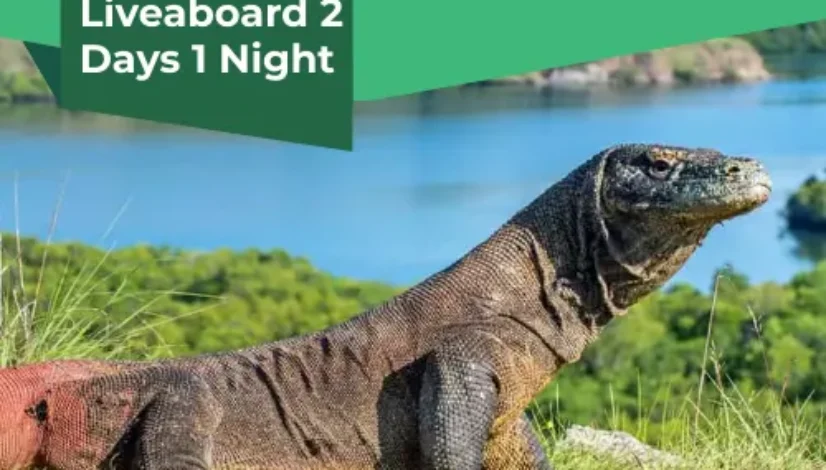 Komodo Liveaboard 2 Days 1 Night