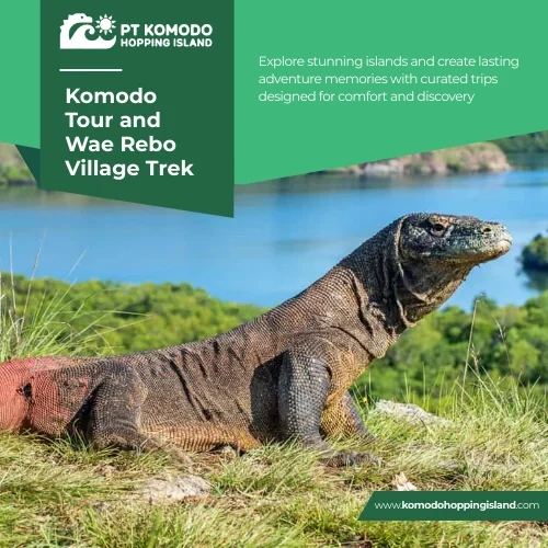 Komodo Tour and Wae Rebo Village Trek