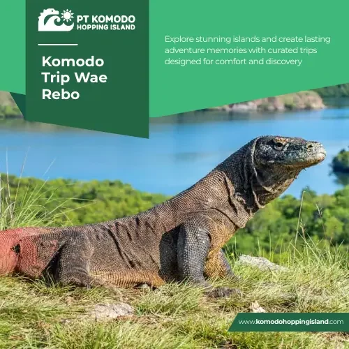 Komodo Trip Wae Rebo