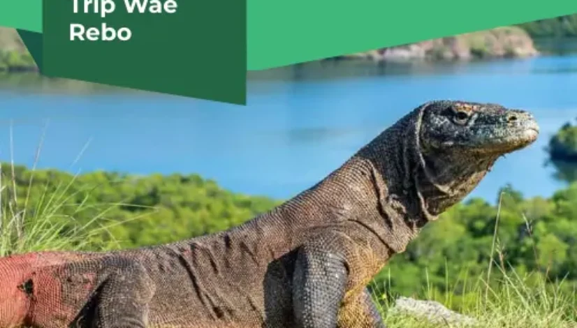 Komodo Trip Wae Rebo