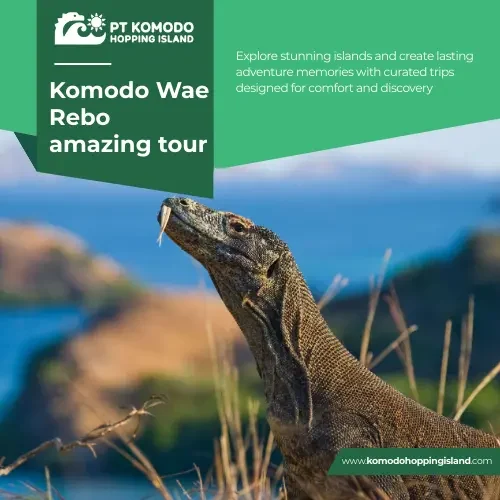 Komodo Wae Rebo amazing tour