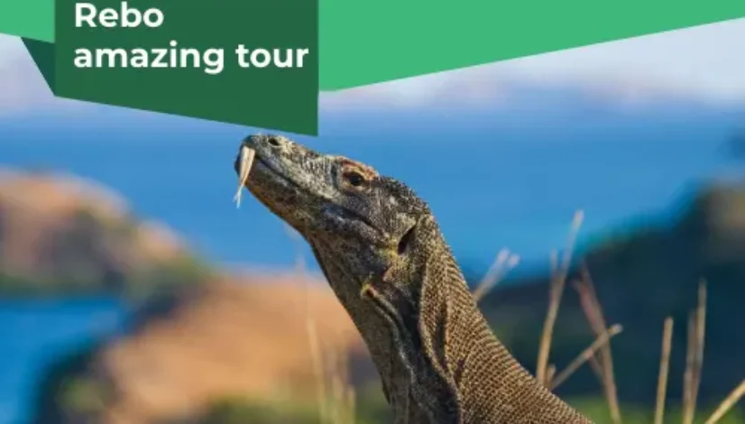 Komodo Wae Rebo amazing tour