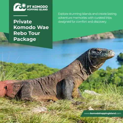 Private Komodo Wae Rebo Tour Package
