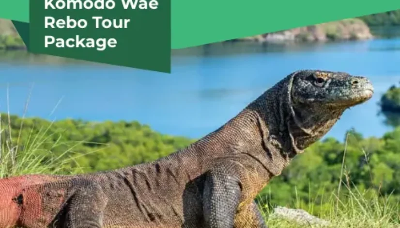 Private Komodo Wae Rebo Tour Package
