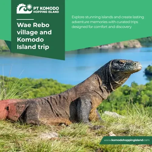Wae Rebo village and Komodo Island trip