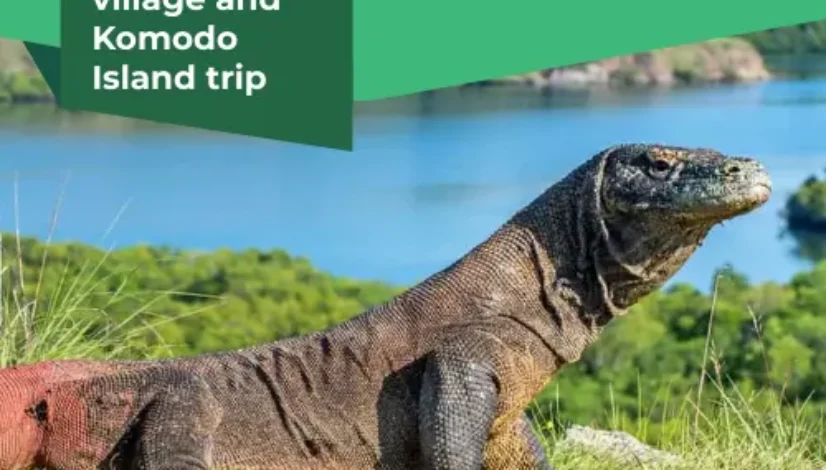 Wae Rebo village and Komodo Island trip
