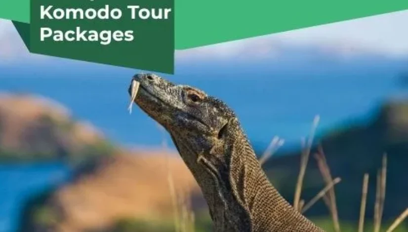 Cheap Flores Komodo Tour Packages