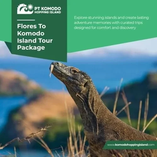 Flores to Komodo Island Tour Package