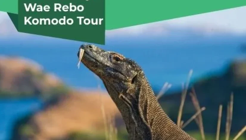Labuan Bajo Wae Rebo Komodo Tour